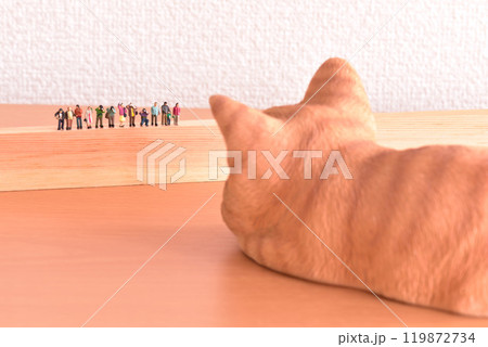 ネコモデル ネコモデル 119872734