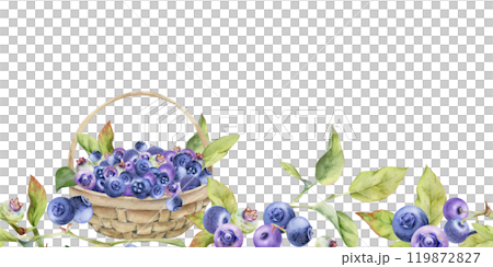 Blueberry blackberry in a weaved basket, hand drawn in watercolor, summer ripe forest berry harvest. Seamless banner illustration, for restaurant, cafe menu, sweet dessert, vegan food, farmers market 119872827
