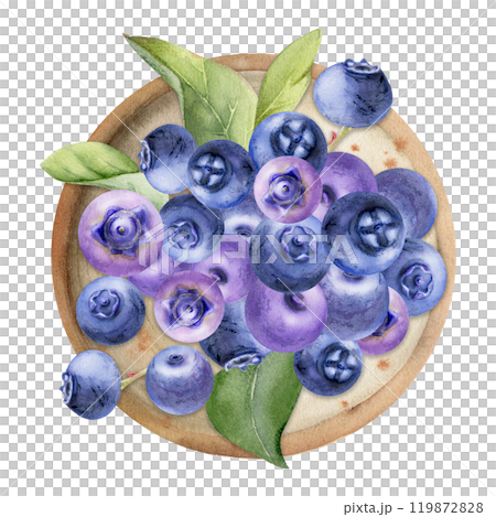 Blueberry blackberry heap on ceramic plate, green leaves, hand drawn in watercolor, ripe purple forest berry. Isolated illustration, for restaurant, dessert cafe menu, wedding, farmers market harvest Blueberry blackberry heap on ceramic plate, green leaves, hand drawn in watercolor, ripe purple forest berry. Isolated illustration, for restaurant, dessert cafe menu, wedding, farmers market harvest 119872828