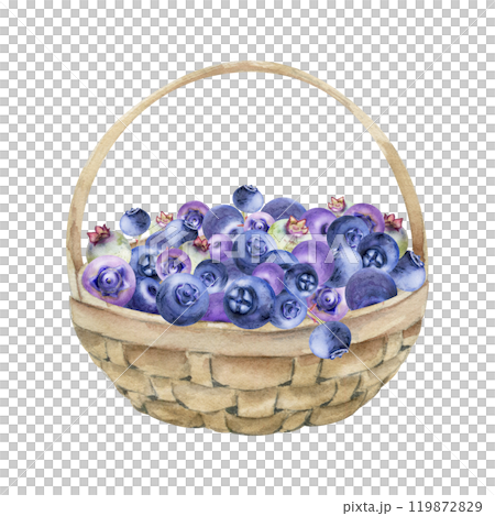Blueberry blackberry in weaved basket, hand drawn in watercolor, heap of ripe picked forest purple berry harvest. Seamless banner illustration, for restaurant, cafe menu, recipe book, farmers market 119872829