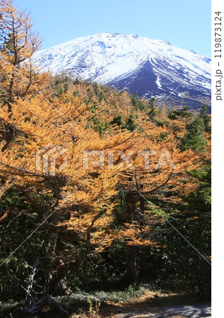 富士山の奥庭の景色 119873124