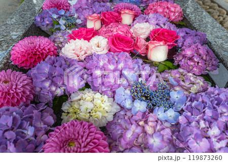 山形 荘内神社の花手水 山形 荘内神社の花手水 119873260