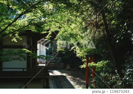 京都　宝積寺の風景 119873265