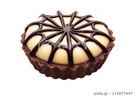 Chocolate tart with glossy spider web design and spider decoration isolated on white transparent background. Concept of Halloween dessert Chocolate tart with glossy spider web design and spider decoration isolated on white transparent background. Concept of Halloween dessert 119873447