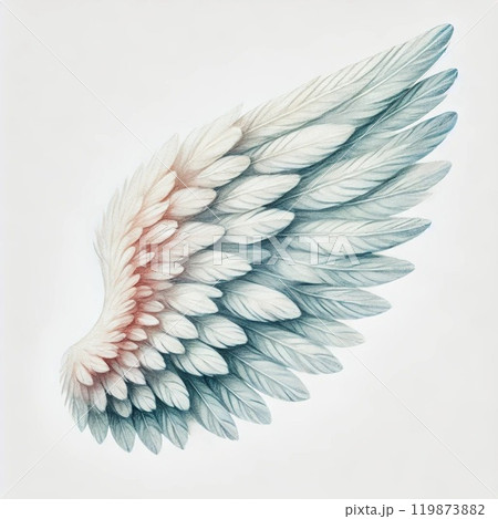 天使の羽（1枚）のイラスト素材 [119873882] - PIXTA