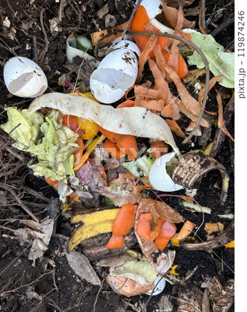生ごみ 食べ物17 生ごみ 食べ物17 119874246