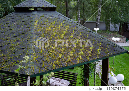 Moss-covered roof of gazebo in lush garden. Moss-covered roof of gazebo in lush garden. 119874376