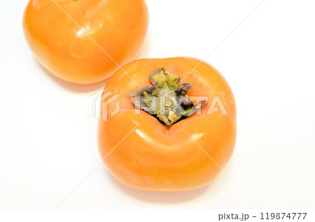 博多秋王 119874777