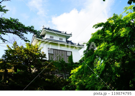 福井県　大野市　越前大野城 119874795