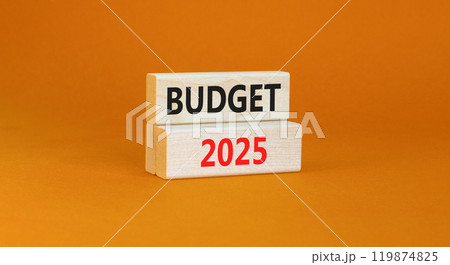 Planning budget 2025 new year symbol. Concept words Budget 2025 on beautiful wooden blocks. Beautiful orange background. Business budget 2025 new year concept. Copy space. 119874825