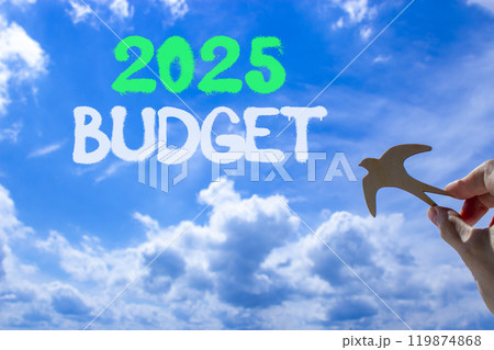 Planning 2025 budget new year symbol. Concept words 2025 Budget on beautiful blue sky. Beautiful blue sky clouds background. Hand with wooden bird. Business 2025 budget new year concept. Copy space. 119874868