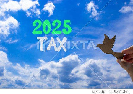 Planning 2025 tax new year symbol. Concept words 2025 Tax on beautiful blue sky. Beautiful blue sky clouds background. Hand holds wooden bird. Business 2025 tax new year concept. Copy space. 119874869