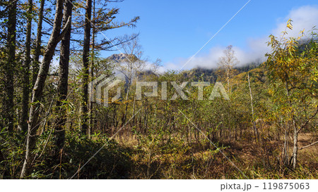 紅葉した上高地 119875063