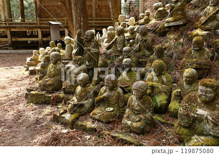 東堂山満福寺 東堂山満福寺 119875080