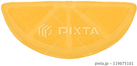 lemon slice on a white background 119875181