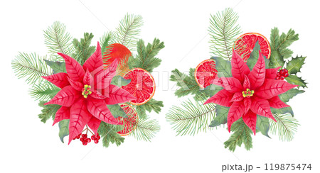 Poinsettia flower with holly berries and pine branches, orange slices for 2025 New Year. Botanical illustration with watercolor. Hand drawn isolated art. Festival composition for Christmas design. 119875474