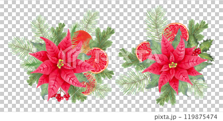 Poinsettia flower with holly berries and pine branches, orange slices for 2025 New Year. Botanical illustration with watercolor. Hand drawn isolated art. Festival composition for Christmas design. 119875474