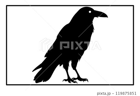 Silhouette of Raven flying on white background, Crow raven bird illustration 119875851