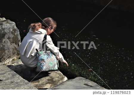 地蔵川の梅花藻・8（滋賀県米原市醒井） 119876023