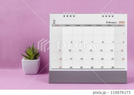 Feburary 2025 desk calendar for 2025 on pink background. Feburary 2025 desk calendar for 2025 on pink background. 119876173