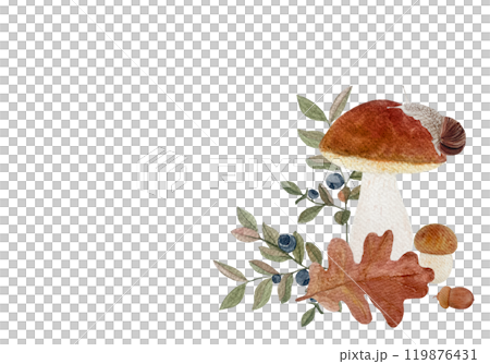 Porcini wild mushroom with a snail oak leaf watercolor horizontal card isolated on white. Hand drawn art with wild edible plant in simple flat style for woodland kids designs, cards, food packages Porcini wild mushroom with a snail oak leaf watercolor horizontal card isolated on white. Hand drawn art with wild edible plant in simple flat style for woodland kids designs, cards, food packages 119876431