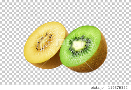 獼猴桃金獼猴桃插畫寫實套裝 獼猴桃金獼猴桃插畫寫實套裝 119876532