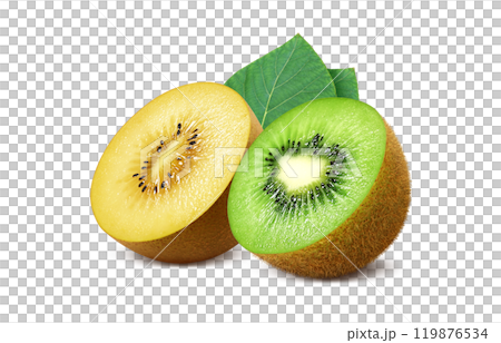 キウイフルーツ ゴールドキウイ イラスト リアル セットのイラスト素材