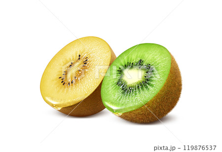 キウイフルーツ ゴールドキウイ イラスト リアル セット 119876537