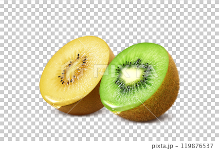 キウイフルーツ ゴールドキウイ イラスト リアル セット 119876537