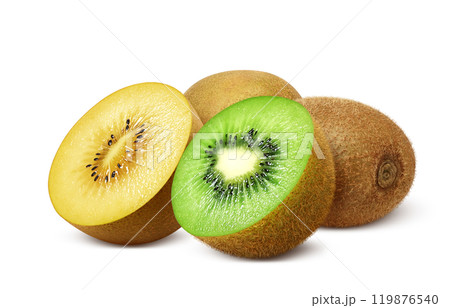 キウイフルーツ ゴールドキウイ イラスト リアル セット 119876540
