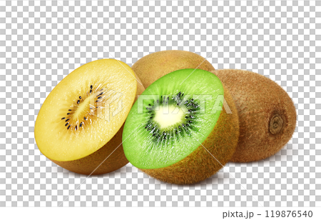 キウイフルーツ ゴールドキウイ イラスト リアル セット 119876540