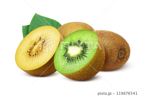 キウイフルーツ ゴールドキウイ イラスト リアル セット キウイフルーツ ゴールドキウイ イラスト リアル セット 119876541