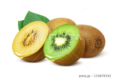 キウイフルーツ ゴールドキウイ イラスト リアル セット キウイフルーツ ゴールドキウイ イラスト リアル セット 119876542