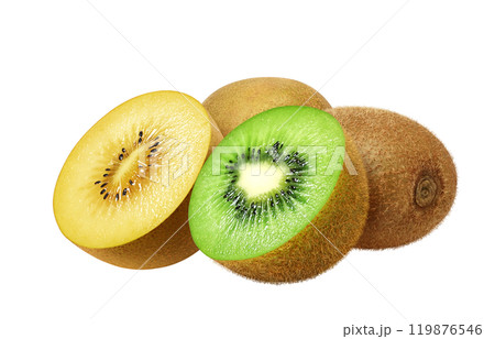キウイフルーツ ゴールドキウイ イラスト リアル セット キウイフルーツ ゴールドキウイ イラスト リアル セット 119876546