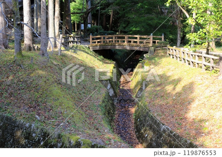 清瀧寺(徳源院)散策・6(滋賀県米原市清滝) 清瀧寺(徳源院)散策・6(滋賀県米原市清滝) 119876553