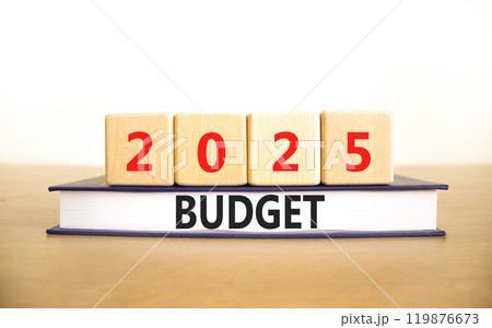 Planning 2025 budget new year symbol. Concept words 2025 Budget on beautiful wooden blocks and book. Beautiful wooden table white background. Business 2025 budget new year concept. Copy space. Planning 2025 budget new year symbol. Concept words 2025 Budget on beautiful wooden blocks and book. Beautiful wooden table white background. Business 2025 budget new year concept. Copy space. 119876673