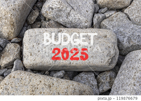 Planning budget 2025 new year symbol. Concept words Budget 2025 on beautiful grey stone. Beautiful grey stones background. Business budget 2025 new year concept. Copy space. Planning budget 2025 new year symbol. Concept words Budget 2025 on beautiful grey stone. Beautiful grey stones background. Business budget 2025 new year concept. Copy space. 119876679