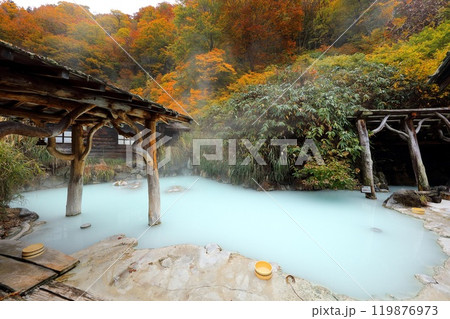 日本の秘湯 鶴の湯 日本の秘湯 鶴の湯 119876973
