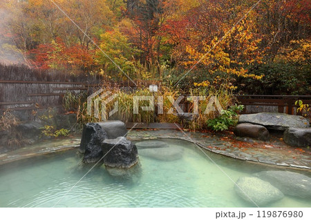 日本の秘湯　松川荘 119876980