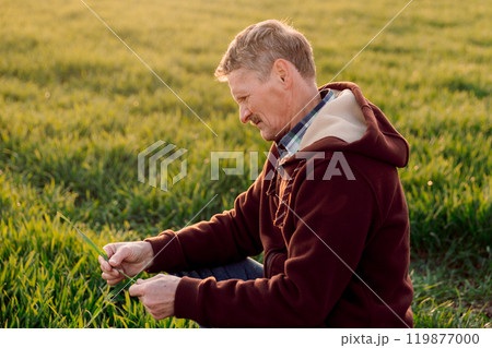 Agronomist farmer check roots health after growth a seed of vegetable or plant seedling. Business or ecology concept. 119877000