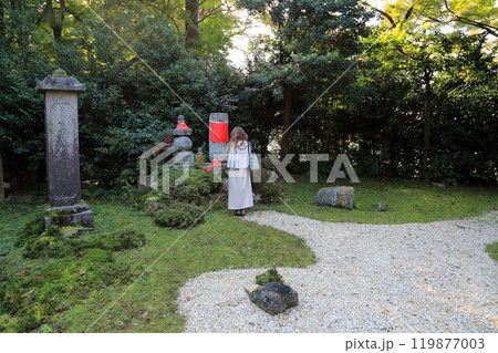 吸湖山青岸寺散策・24(滋賀県米原市) 吸湖山青岸寺散策・24(滋賀県米原市) 119877003