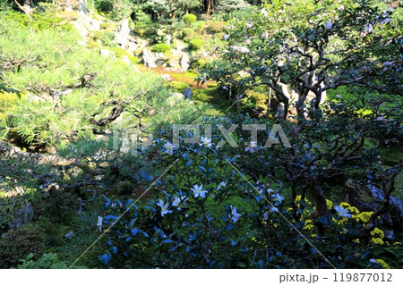 吸湖山青岸寺散策・30（滋賀県米原市） 119877012