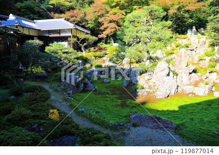 吸湖山青岸寺散策・32(滋賀県米原市) 吸湖山青岸寺散策・32(滋賀県米原市) 119877014