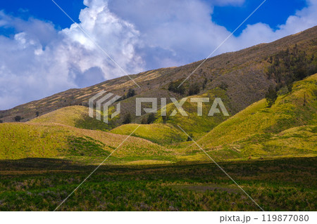 Landscape of rolling hills with vibrant green grass under a blue sky 119877080