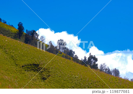 Landscape of rolling hills with vibrant green grass under a blue sky 119877081