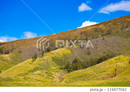 Landscape of rolling hills with vibrant green grass under a blue sky 119877082