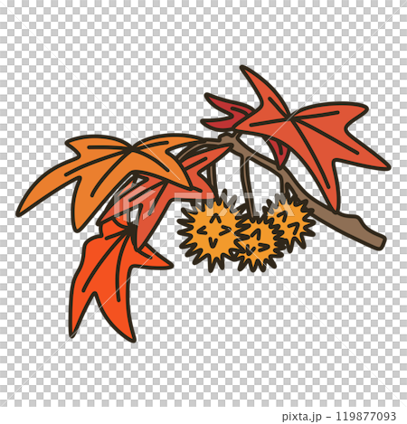 America Fu 119877093