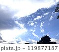 雲 119877187