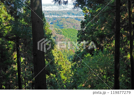 八王子城の要害地区からの眺望【東京都八王子市】 八王子城の要害地区からの眺望【東京都八王子市】 119877279