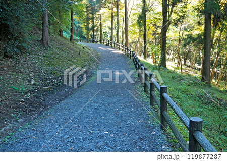 八王子城跡の大手古道跡【東京都八王子市】 119877287